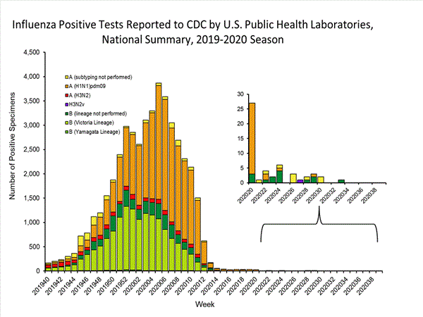 INFLUENZA Virus Isolated