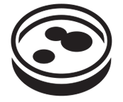 Illustration of a petri dish