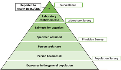 burdenofillness_pyramid2.jpg Burden of illness pyramid