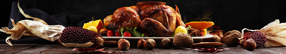 Cooked holiday turkey