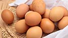 Eggs in basket