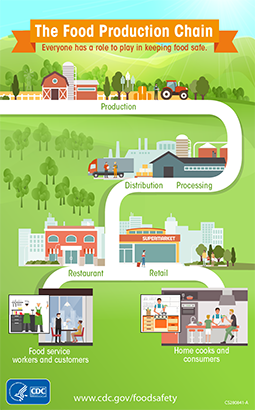 Graphic of the Food Production Chain.