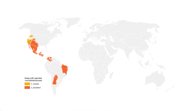 Estimated areas with coccidioidomycosis (Valley fever) worldwide Estimated areas with coccidioidomycosis (Valley fever) worldwide