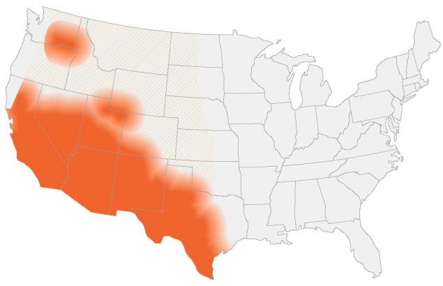 Estimated areas with coccidioidomycosis (Valley fever) in the United States This map shows CDC’s current estimate of where the fungi that cause coccidioidomycosis (Valley fever) live in the environment in the United States.