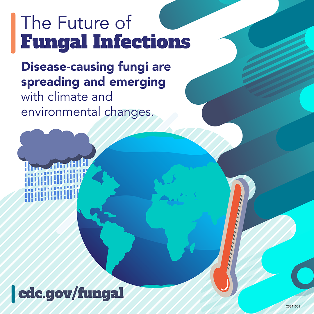 341503B_FDAW_FRIDAY_StandAlone_V1-SQUARE-1080x1080 The Future of Fungal Infections: Disease-causing fungi are spreading and emerging with climate and environmental changes. cdc.gov/fungal