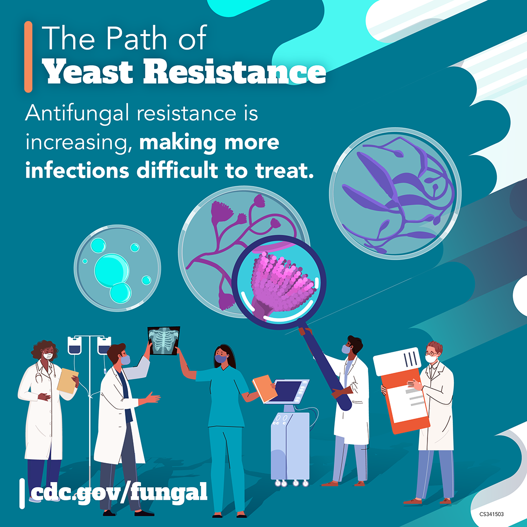 341503B_FDAW_WEDNESDAY_StandAlone_V2-SQUARE-1080x1080 The Path of Yeast Resistance: Antifungal resistance is increasing, making more infections difficult to treat. dcd.gov/fungal