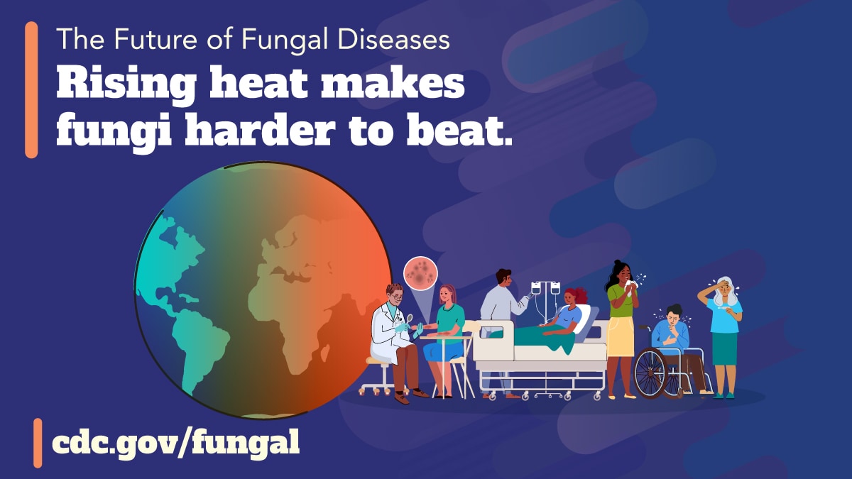 Rising Heat Makes Fungi Harder to Beat (Facebook) The earth in the center, and the right side shows people with skin lesions and illnesses. The text reads “The future of Fungal diseases” and “Rising heat makes fungi harder to beat.”
