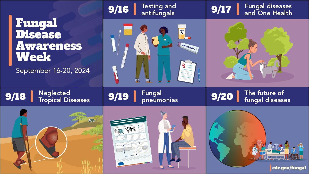 FDAW 2024 promo Fungal Disease Awareness Week daily themes including (in chronological order): Testing and antifungals, fungal diseases and One Health, Neglected Tropical Diseases, Fungal Pneumonias, and the future of fungal diseases