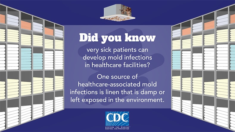 image of a hospital laundry room with text: "Did you know very sick patients can develop mold infections in healthcare facilitieis? One sources of healthcare-associated mold infections is linen that is damp or left exposued in the environment.