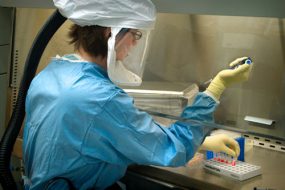 A lab technician working with samples in test tubes