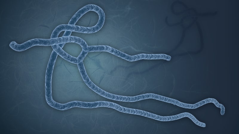 Ebola Virus Illustration of the Ebola virus, showing its long, twisted, structure on a dark background.