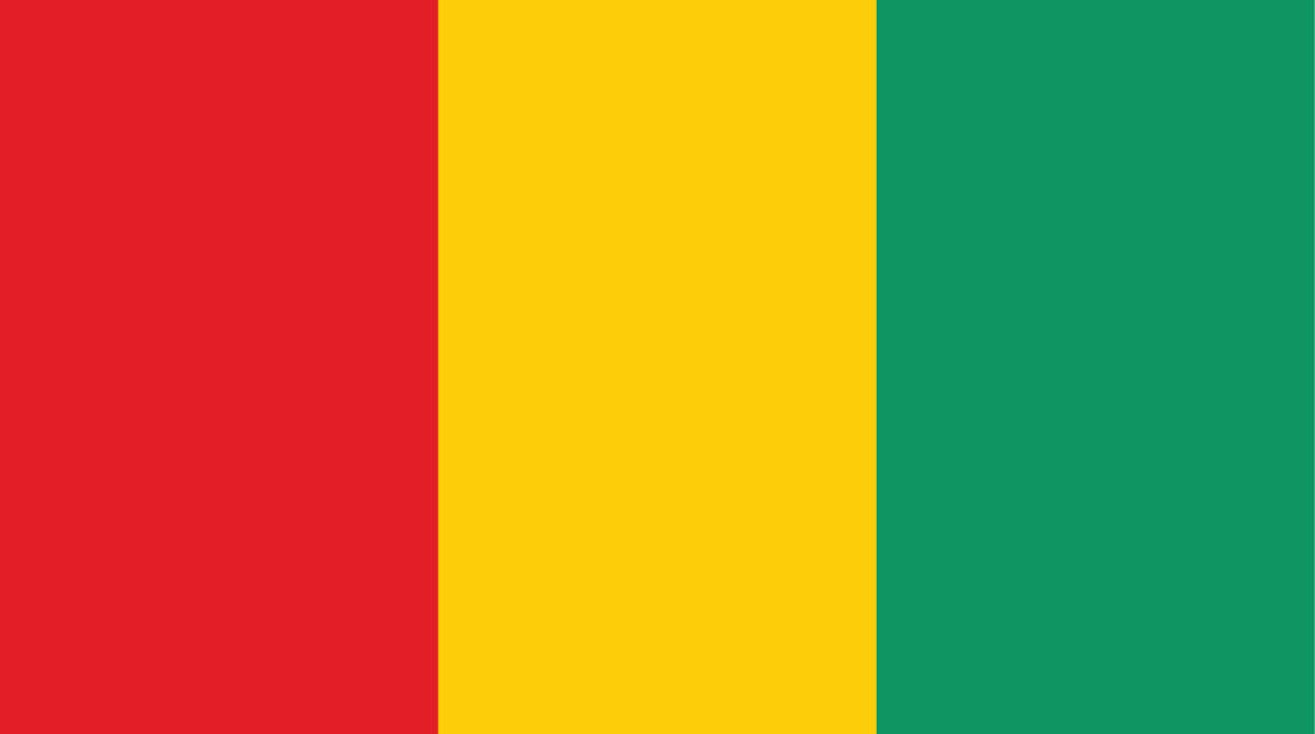 Guinea Flag Three vertical stripes red, yellow and green