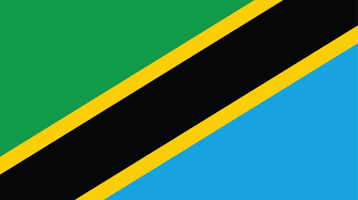 Flag_Tanzania The flag of Tanzania consists of two triangles, one green and the other blue, diagonally separated. There's a thin black diagonal stripe running from the bottom left corner to the top right corner, bordered by thin yellow stripes on either side.