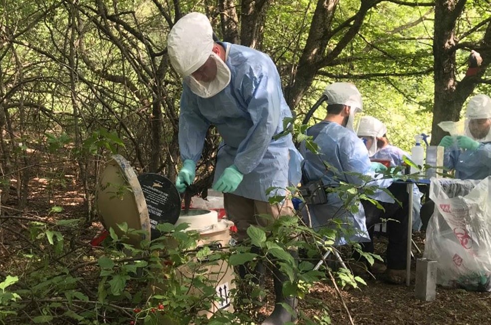 Orthopox field team processing small mammal samples in Akhmeta municipality, Georgia. Photo: Giorgi Maghlakelidze