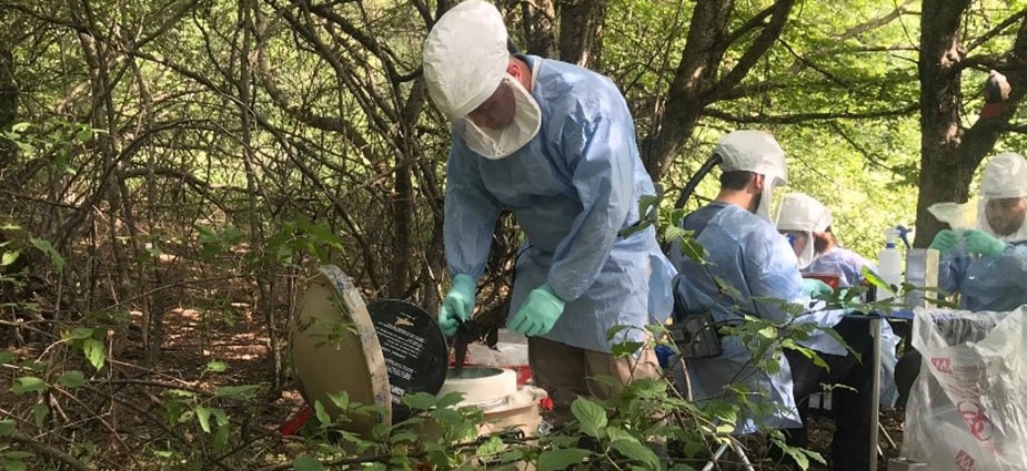 Orthopox field team in Akhmeta municipality, Georgia. Orthopox field team processing small mammal samples in Akhmeta municipality, Georgia. Photo: Giorgi Maghlakelidze
