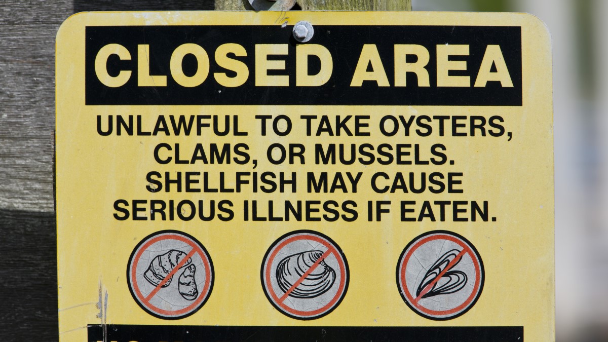 Metal sign posted to a wooden post that says, "Closed area. Unlawful to take oysters, clams, or mussels. Shellfish may cause serious illness if eaten." The sign shows illustrations of an oyster, clam, and mussel with a red slash through each.