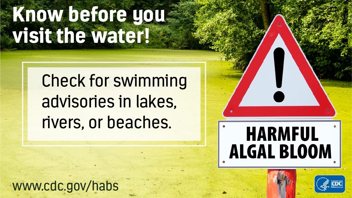 Know before you visit the water: 1200x675 Stay safe by checking swimming advisories for harmful algal blooms