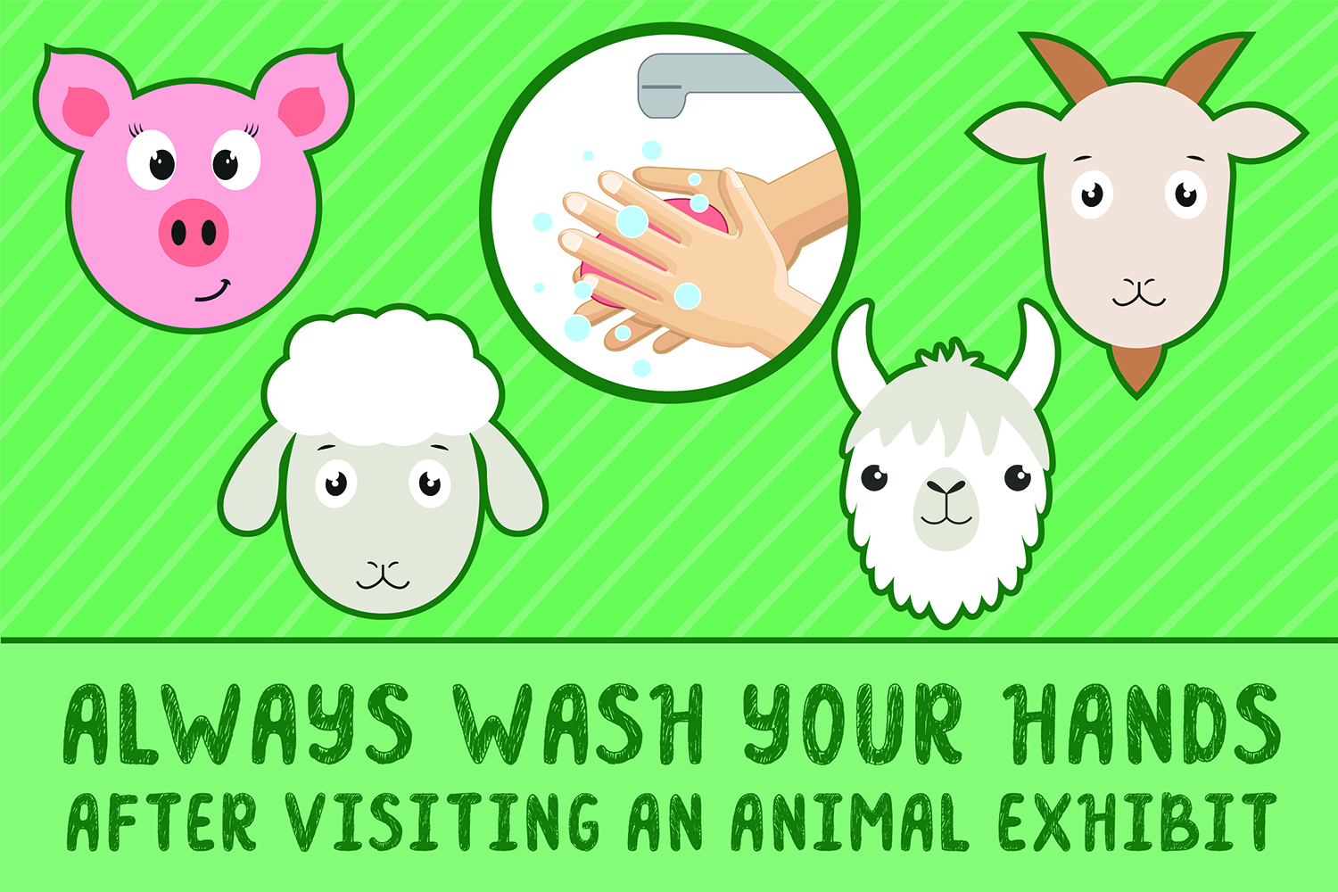 Always Wash Your Hands After Visiting an Animal Exhibit cover