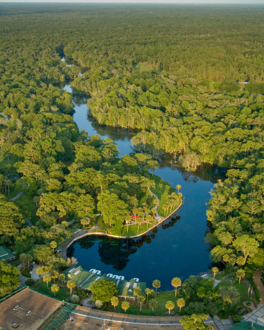 Silver River - Silver Springs, Florida wetlands as seen from the air