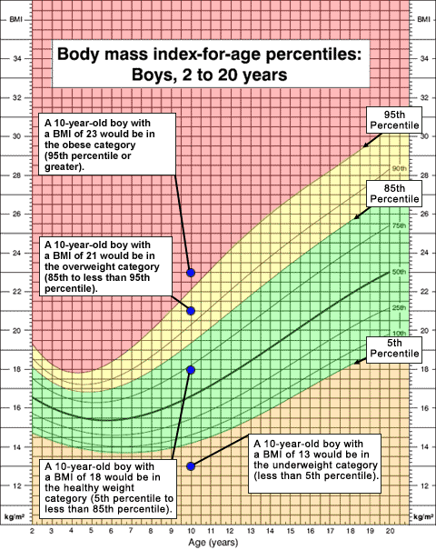 growthchart_example1.gif Growth chart example showing range of different BMI percentiles for height and age.