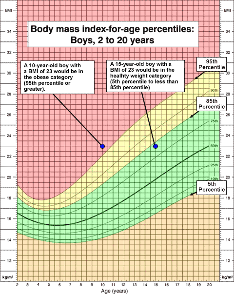 growthchart_example2.gif Growth chart example showing differing percentiles for same BMI.