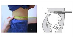 waist-circunference.jpg image showing how to measure your waist