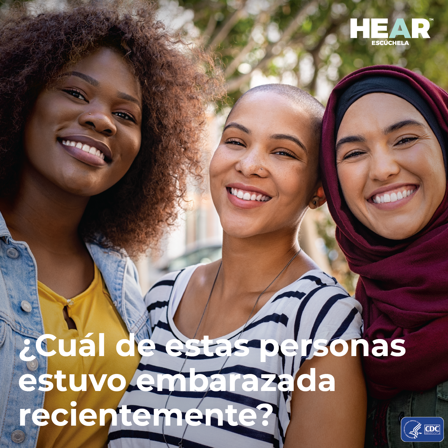 Pregunte si su paciente había estado embarazada en el último año.