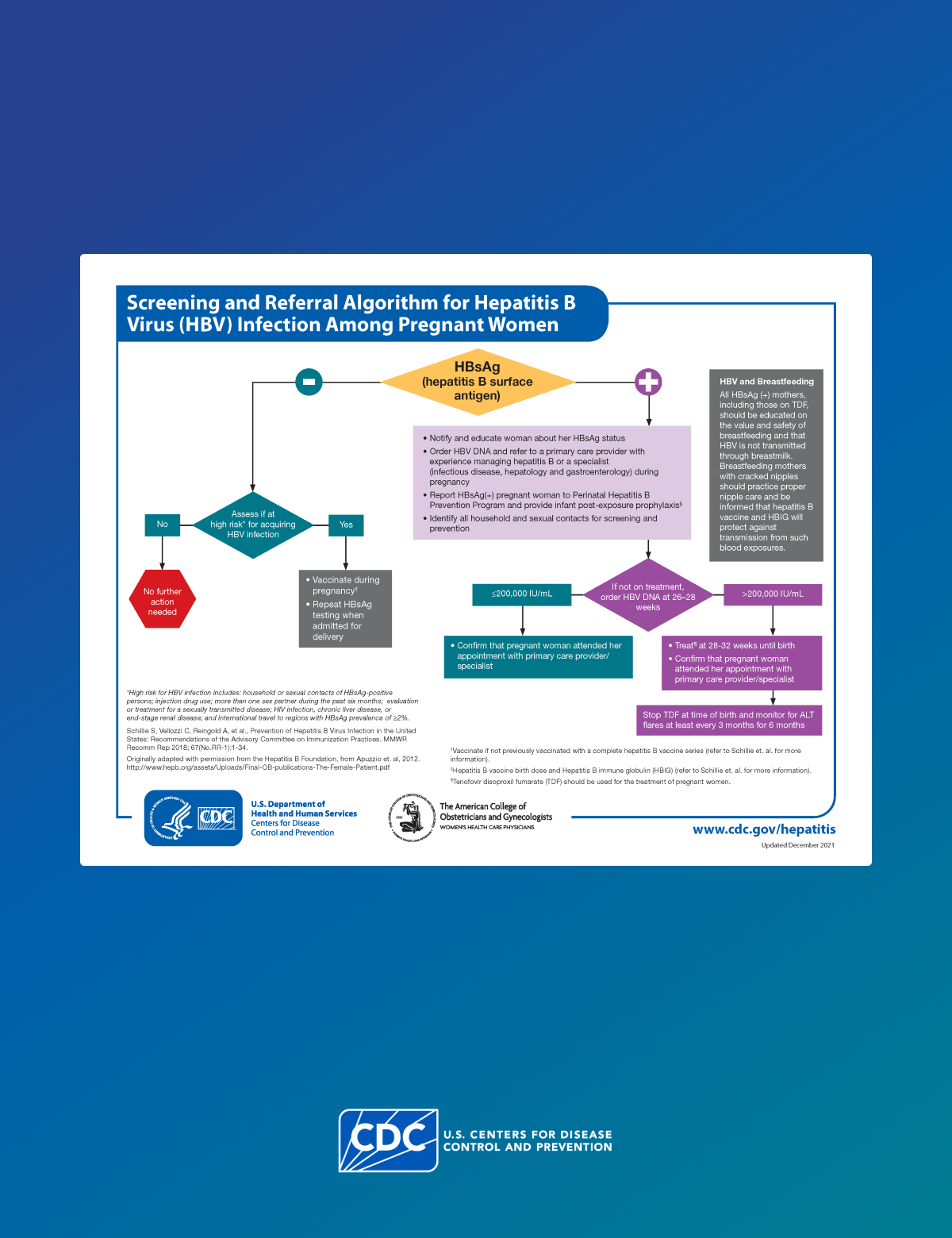 Poster highlighting screening and referral algorithm for hepatitis B infection in pregnant women