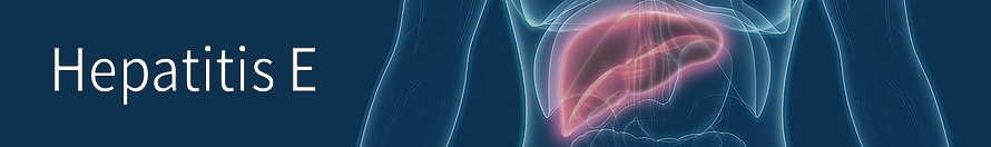 Hepatitis E
