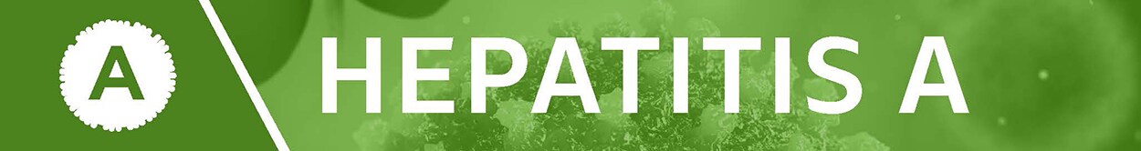 2019 Hepatitis-B Banner Hepatitis A, 2019