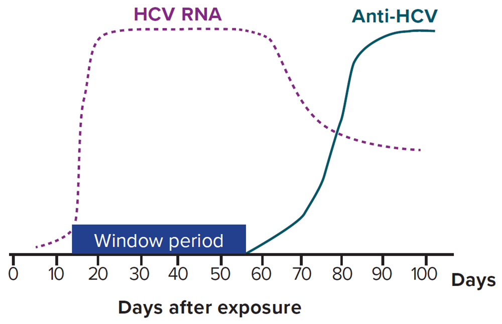 Figure 4-1 Figure 4.1 illustrates the typical serologic course of hepatitis C virus infection. There is an 8–11 week window period between exposure to hepatitis C virus and the ability to detect hepatitis C virus antibodies. Hepatitis C virus RNA may be detectable approximately 1–2 weeks after exposure.