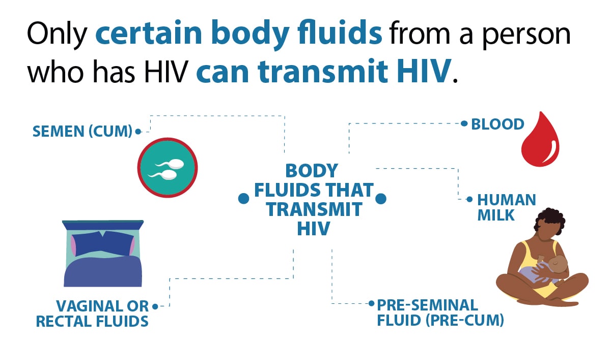 Image of body fluids that transmit HIV.