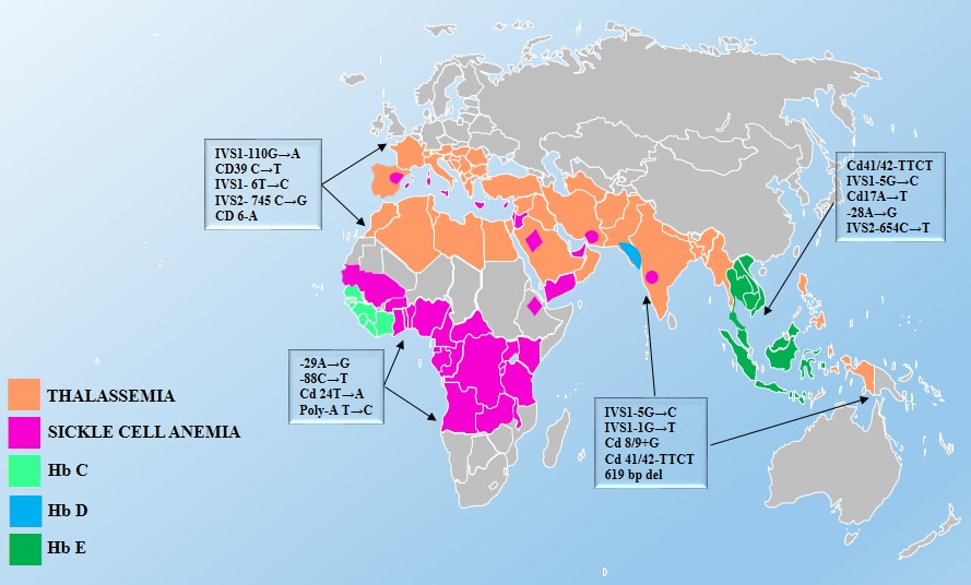 Map showing the global distribution of Thalassemia and Sickle Cell Anemia