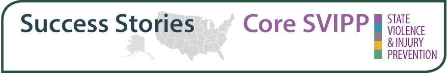 Core SVIPP Success Stories banner image