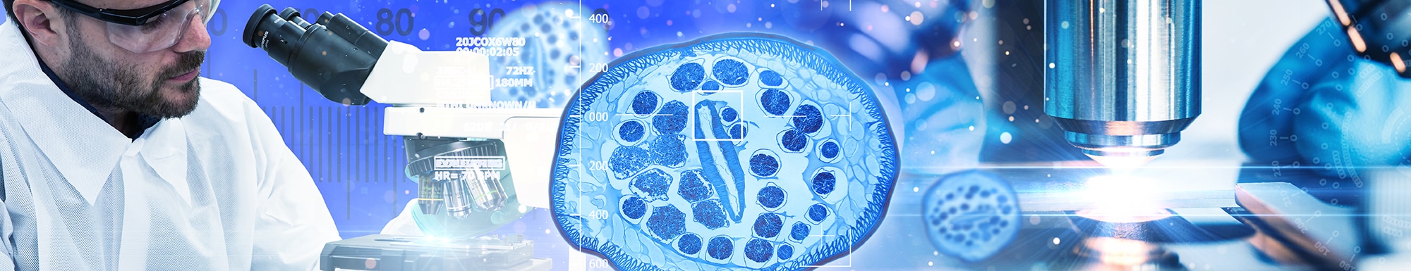 Basic Microscopy