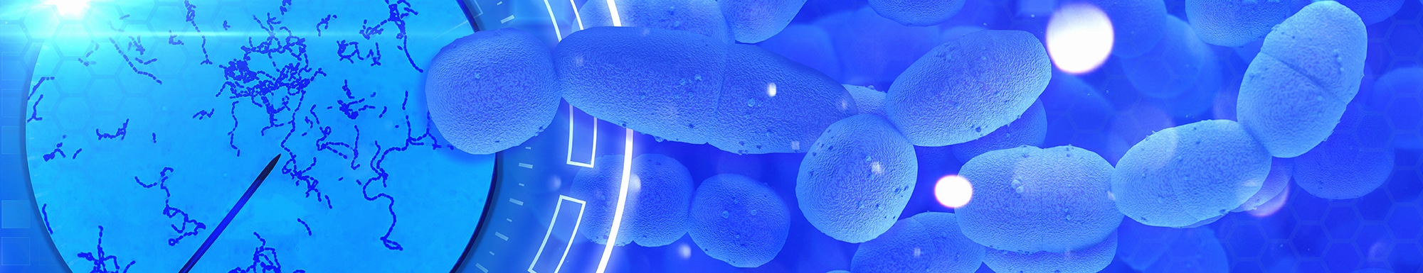 Biochemicals and Gram Positive Organism ID