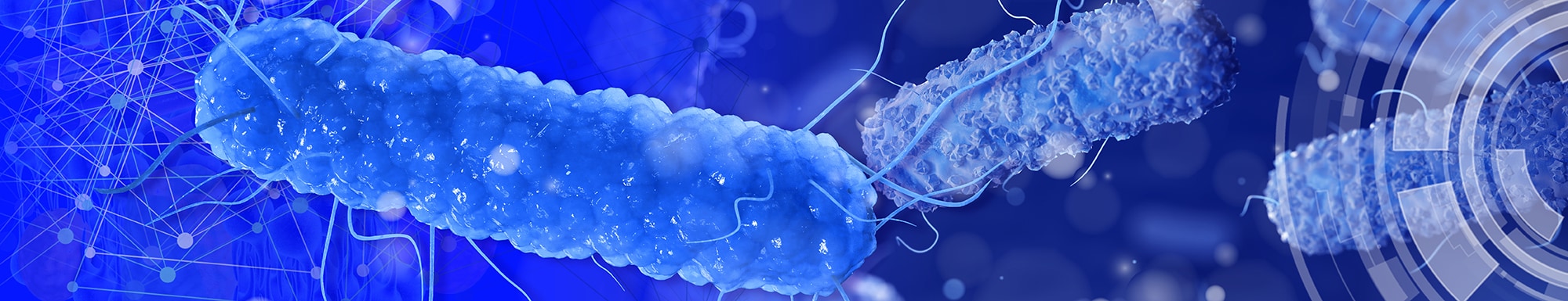 Biochemicals and Gram Negative Organism ID