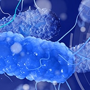 Biochemicals and Gram Negative Organism ID