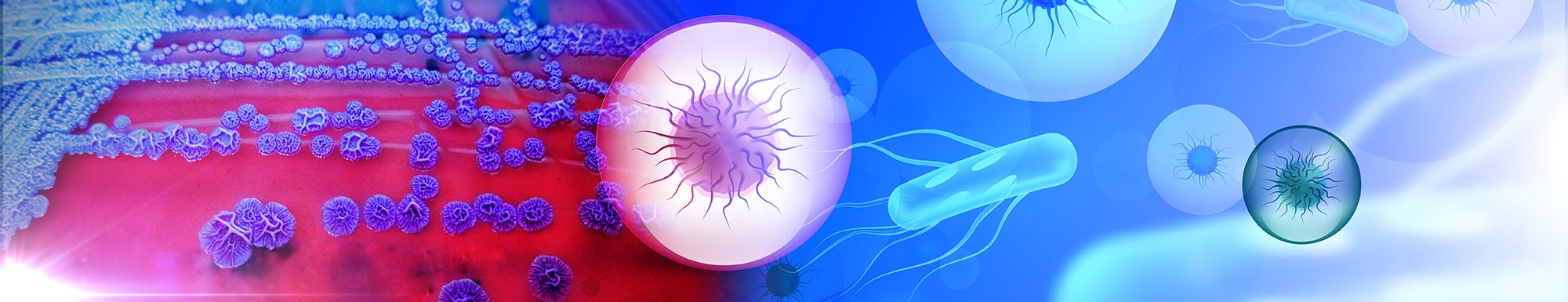 Routine Microscopy Procedures