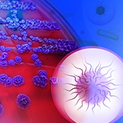 Routine Microscopy Procedures