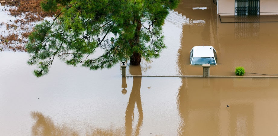 hurricanes leptospirosis factsheet