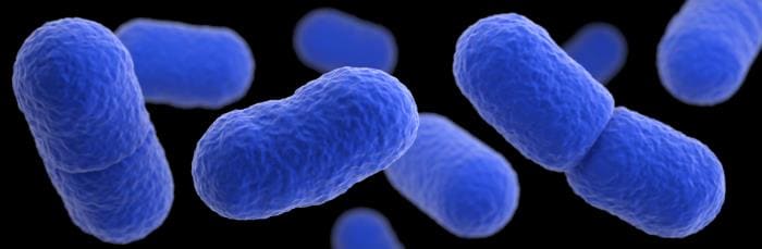 Listeria A three-dimensional, computer-generated image of a grouping of Listeria monocytogenes bacteria.