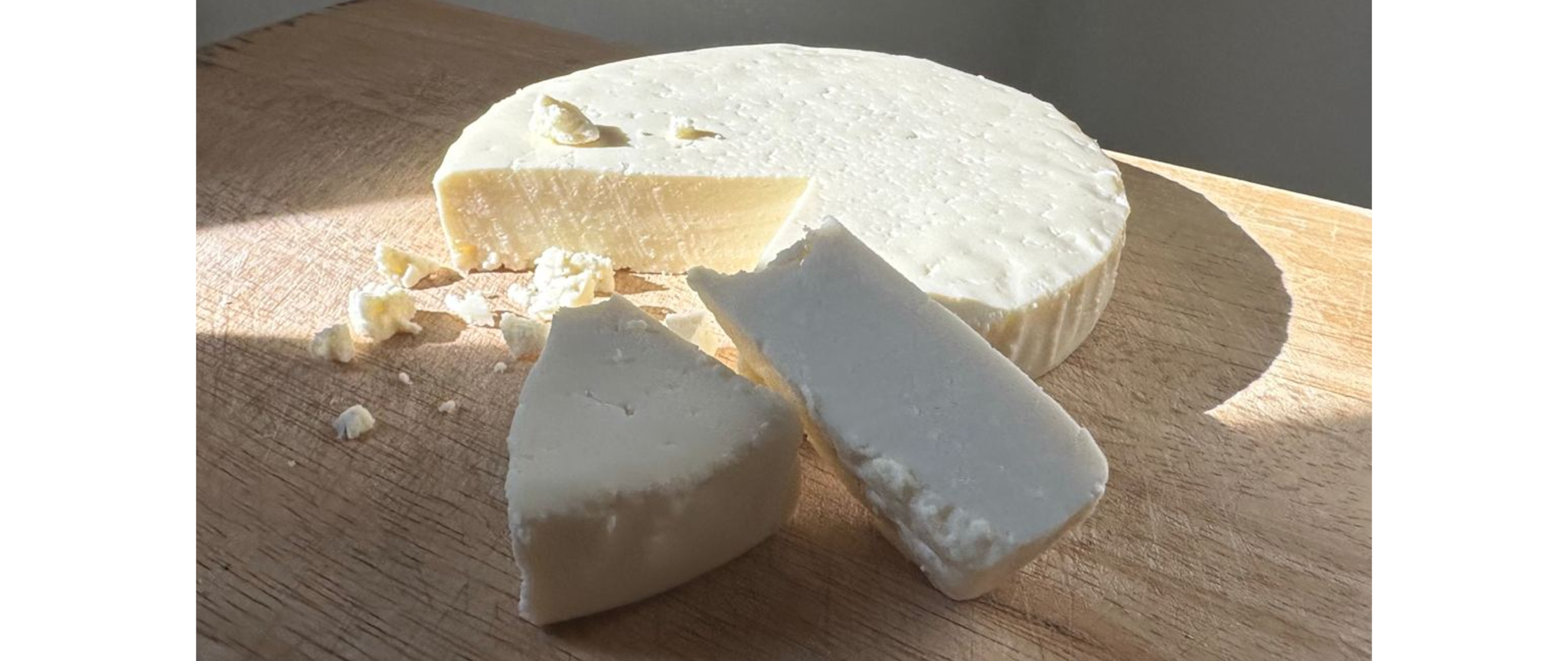 Queso Fresco cheese outbreak Image of queso fresco cheese.