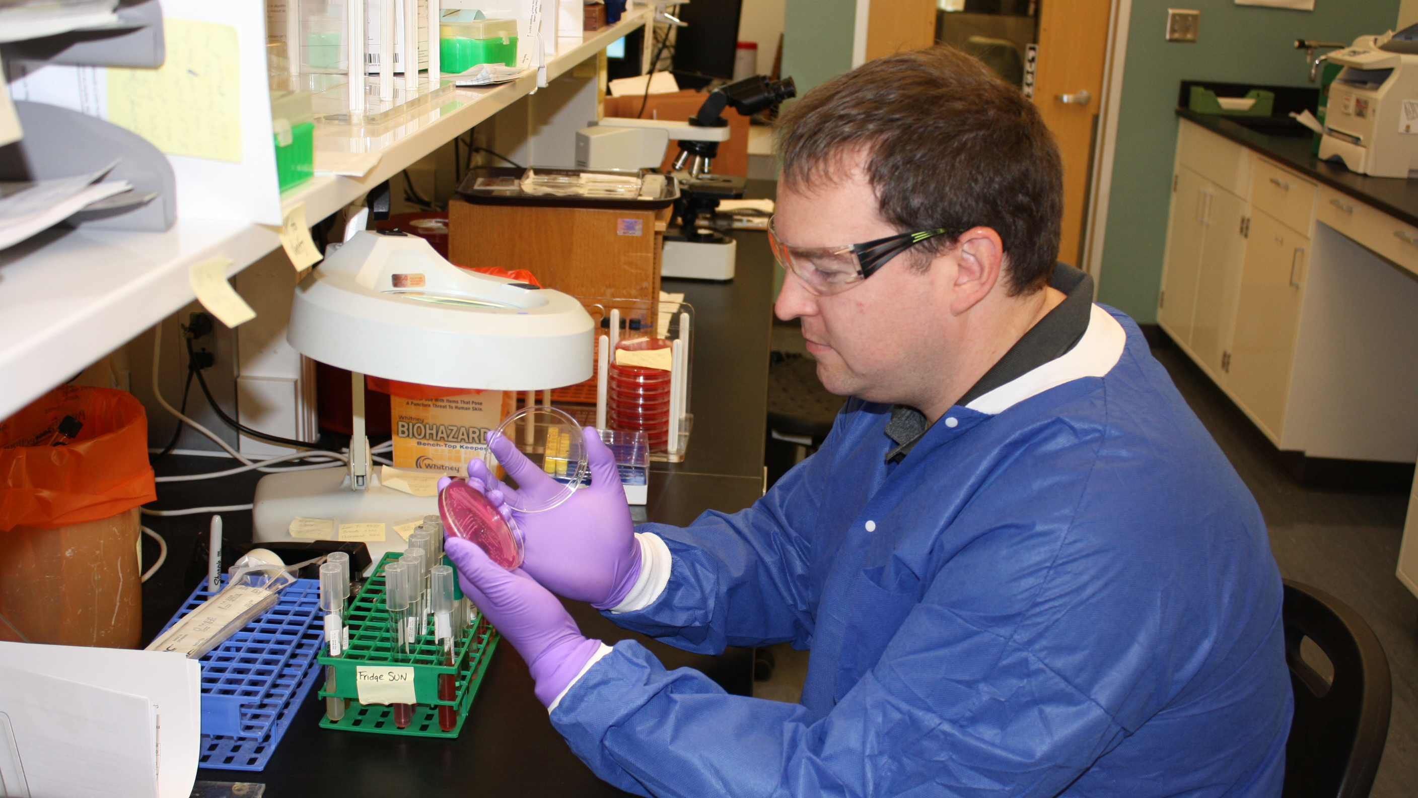 LLS fellow works in lab.