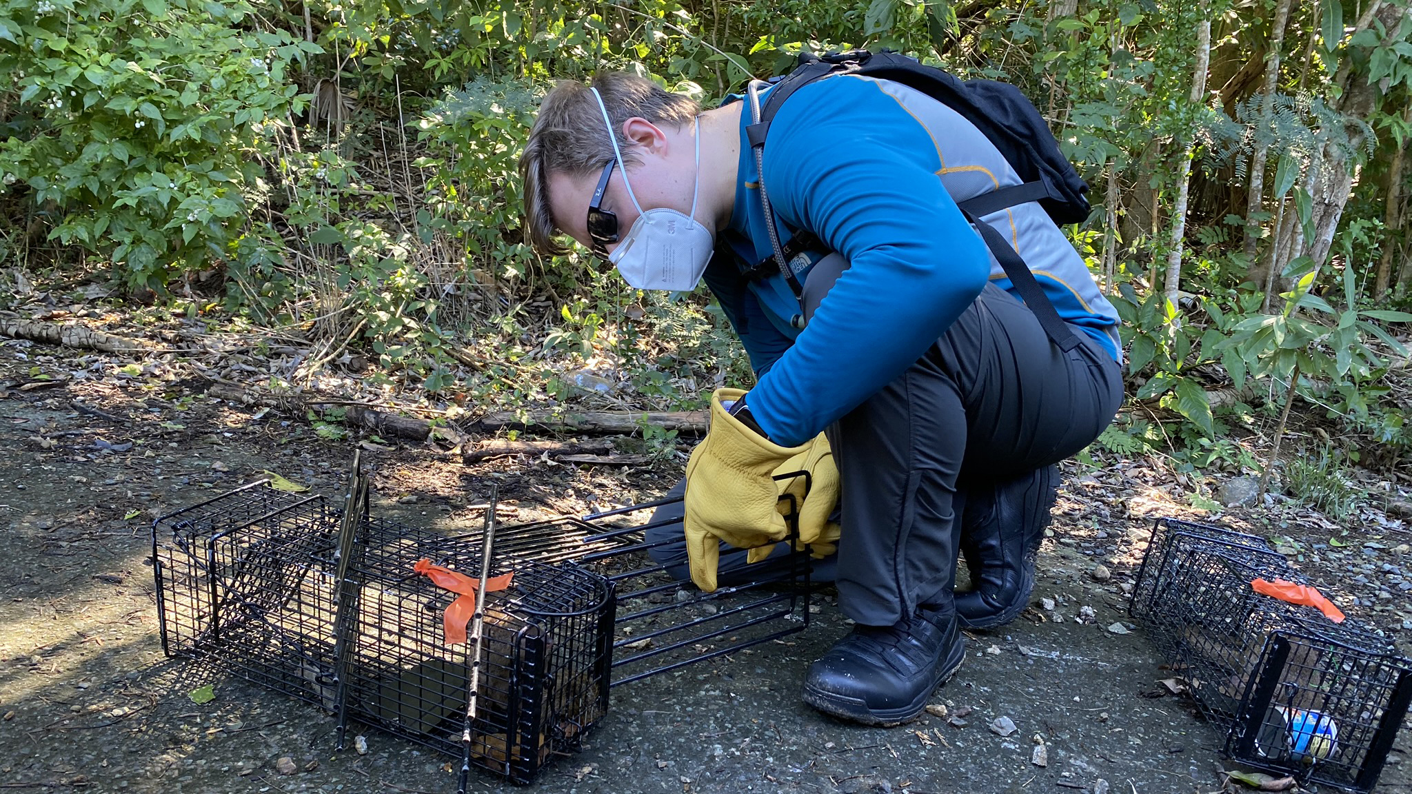 LLS fellow works in the U.S. Virgin Islands on an Epi-Aid response.