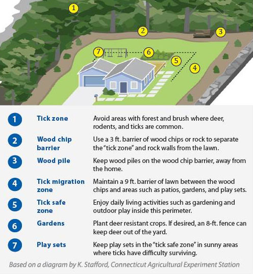 Tick Safe Landscaping diagram