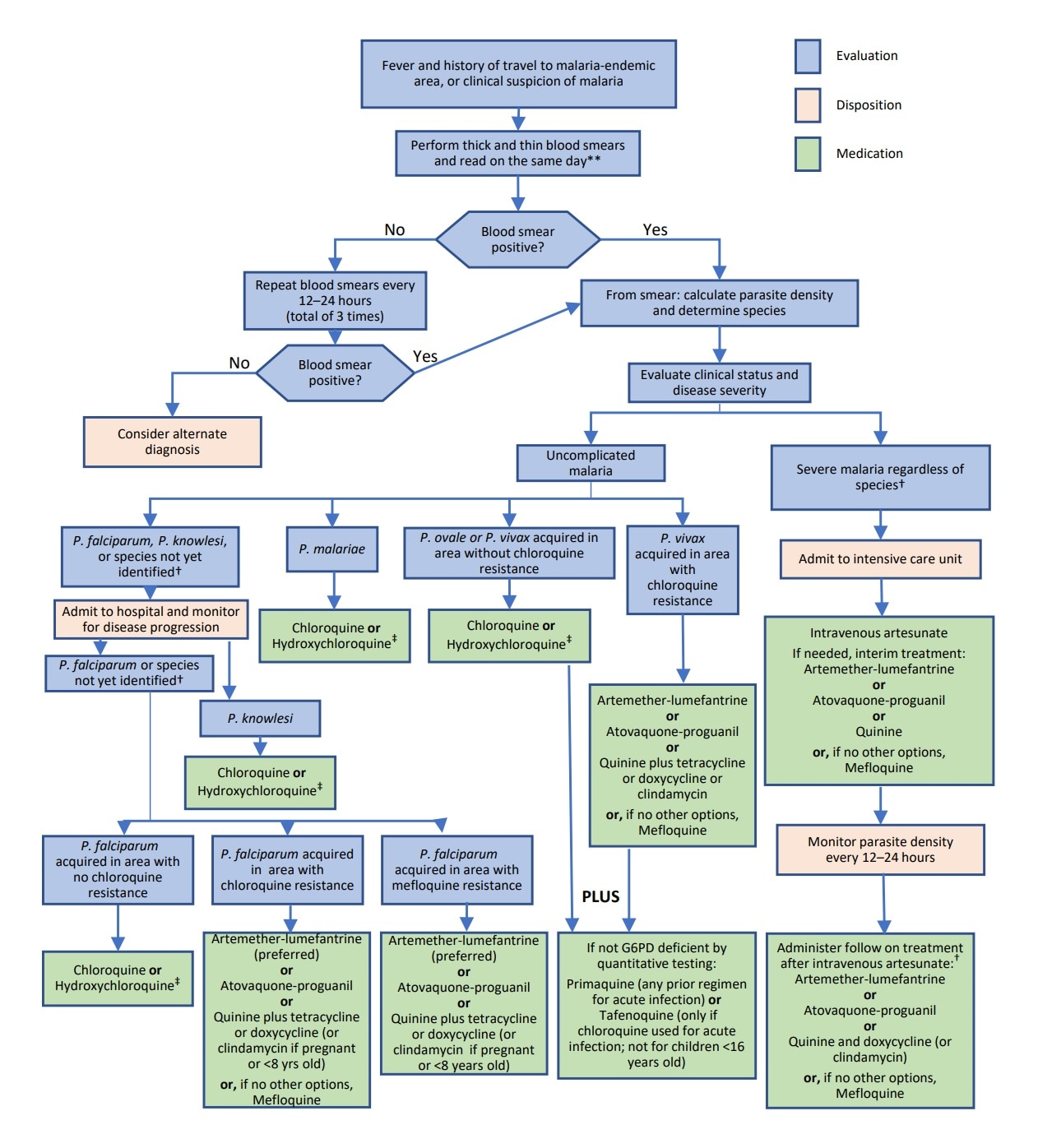 Algorithm for Diagnosis and Treatment of Malaria in the United States