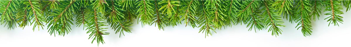 banner 8 CDC Health Tips for a Safe and Healthy Holiday banner