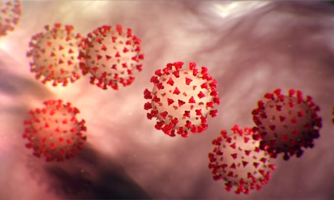 Imagen microscópica del coronavirus