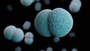 illustration of bacteria